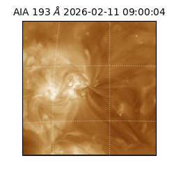 saia - 2026-02-11T09:00:04.842000