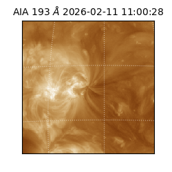 saia - 2026-02-11T11:00:28.843000