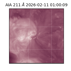 saia - 2026-02-11T01:00:09.626000