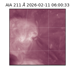 saia - 2026-02-11T06:00:33.618000