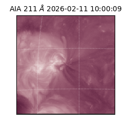 saia - 2026-02-11T10:00:09.626000