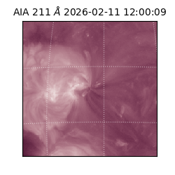 saia - 2026-02-11T12:00:09.632000