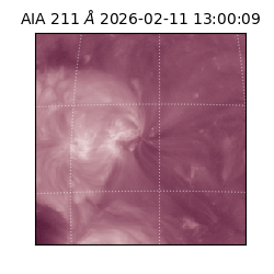 saia - 2026-02-11T13:00:09.632000