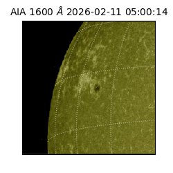 saia - 2026-02-11T05:00:14.118000