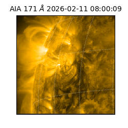 saia - 2026-02-11T08:00:09.353000