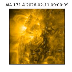 saia - 2026-02-11T09:00:09.353000