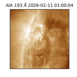 saia - 2026-02-11T01:00:04.843000