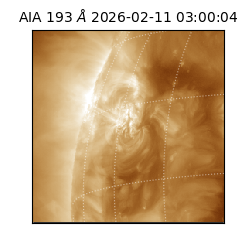 saia - 2026-02-11T03:00:04.843000