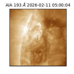 saia - 2026-02-11T05:00:04.835000