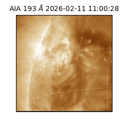 saia - 2026-02-11T11:00:28.843000