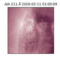 saia - 2026-02-11T01:00:09.626000