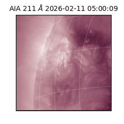 saia - 2026-02-11T05:00:09.633000