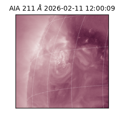 saia - 2026-02-11T12:00:09.632000