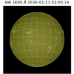 saia - 2026-02-11T02:00:14.126000