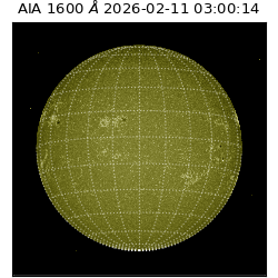 saia - 2026-02-11T03:00:14.129000