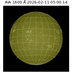 saia - 2026-02-11T05:00:14.118000