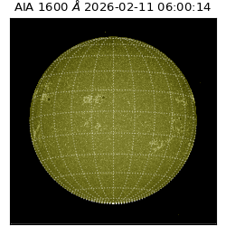 saia - 2026-02-11T06:00:14.123000