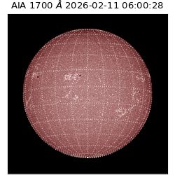 saia - 2026-02-11T06:00:28.711000