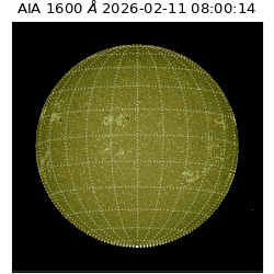 saia - 2026-02-11T08:00:14.133000