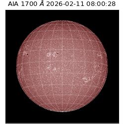 saia - 2026-02-11T08:00:28.717000