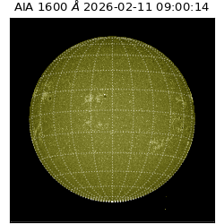 saia - 2026-02-11T09:00:14.133000