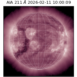 saia - 2026-02-11T10:00:09.626000