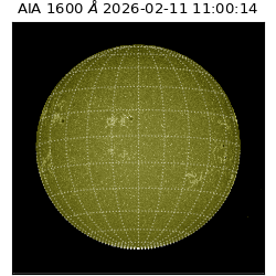 saia - 2026-02-11T11:00:14.126000