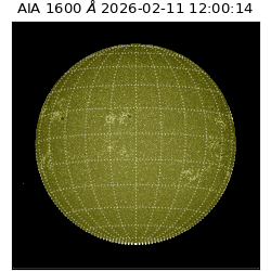 saia - 2026-02-11T12:00:14.125000