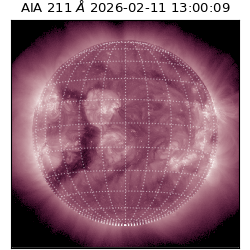 saia - 2026-02-11T13:00:09.632000