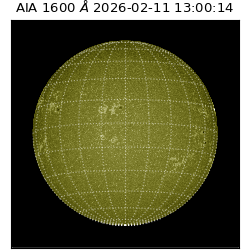 saia - 2026-02-11T13:00:14.126000