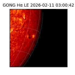 gong - 2026-02-11T03:00:42