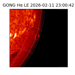 gong - 2026-02-11T23:00:42