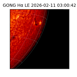 gong - 2026-02-11T03:00:42