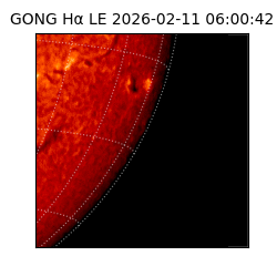 gong - 2026-02-11T06:00:42