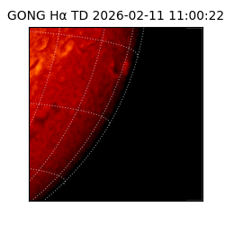 gong - 2026-02-11T11:00:22