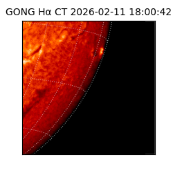 gong - 2026-02-11T18:00:42