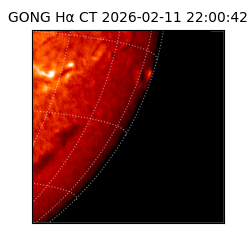 gong - 2026-02-11T22:00:42