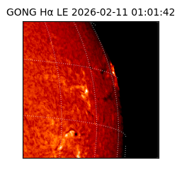 gong - 2026-02-11T01:01:42