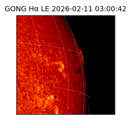 gong - 2026-02-11T03:00:42