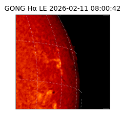 gong - 2026-02-11T08:00:42