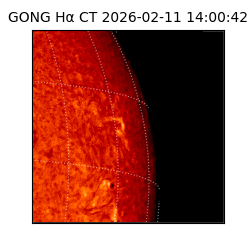 gong - 2026-02-11T14:00:42