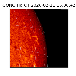 gong - 2026-02-11T15:00:42