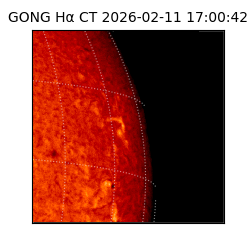 gong - 2026-02-11T17:00:42