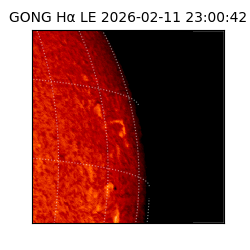 gong - 2026-02-11T23:00:42