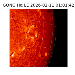 gong - 2026-02-11T01:01:42