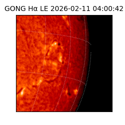 gong - 2026-02-11T04:00:42