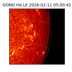 gong - 2026-02-11T05:00:42