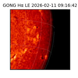 gong - 2026-02-11T09:16:42