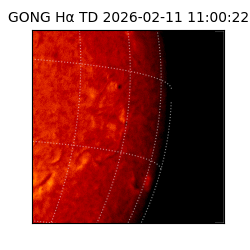 gong - 2026-02-11T11:00:22
