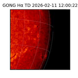 gong - 2026-02-11T12:00:22